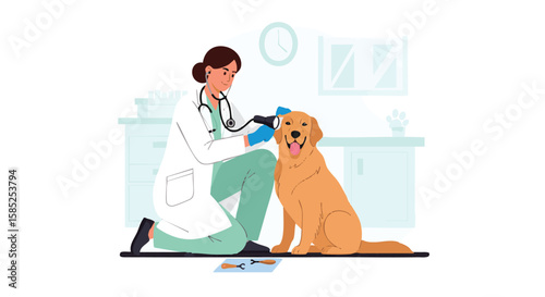 A veterinarian examining a golden retriever dog's ear in a clinic setting.