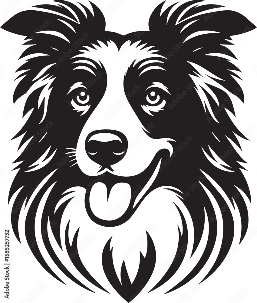 Obraz premium Border Collie Dog Vector – Silhouette 