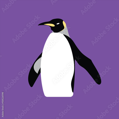 majestic penguin vector art, black and white , vibrant purple background.
