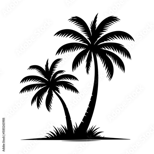 coconut tree vector 