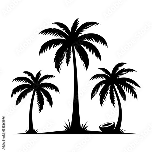 Coconut tree vector with white background 