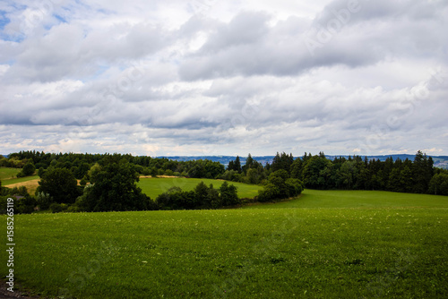 Cloudy summer day with green fields and clumps of bushes