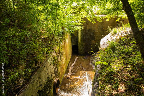 Concreted sewage ditch with green bushes