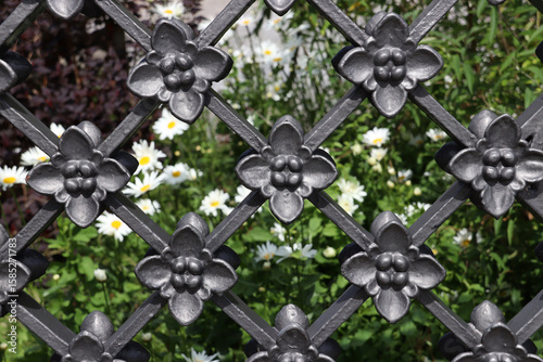 Part of an ornamental cast-iron fence with white daisy flowers behind (Copenhagen, Denmark)