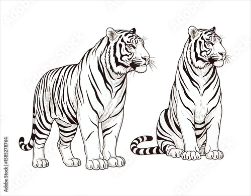 An assortment of tigers shown in different poses, created in a hand-drawn style