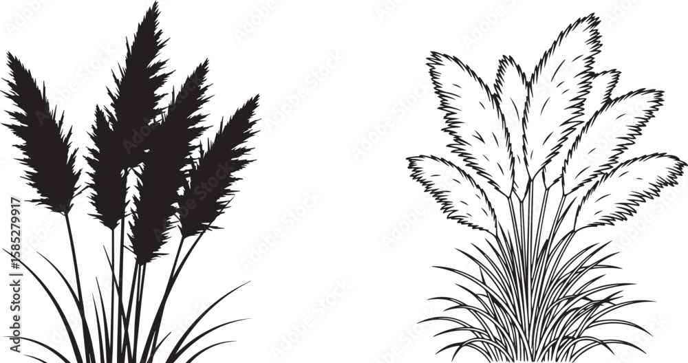 Naklejka premium vector illustration of Pampas grass