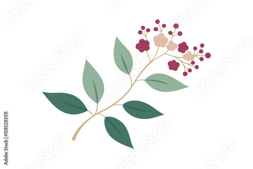 Boho Seamless Vector With Elderflowers And Berries