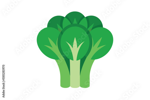 Bok Choy Bunch Arranged Neatly In Vector Style On White