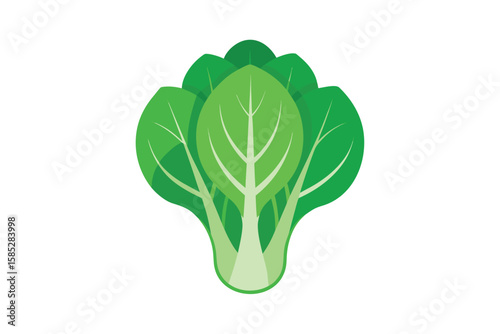 Bok Choy With Wide Leaves And Short Stems Vector On Canvas