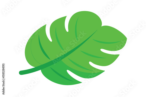 Bright Green Cartoon Jungle Leaf With Wide Structure