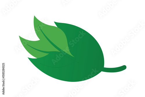 Broad Leaf In Cartoon Design With Curvy Edge On White
