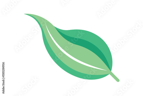 Cartoon Inspired Sat Leaf With Curved Lines And Shapes