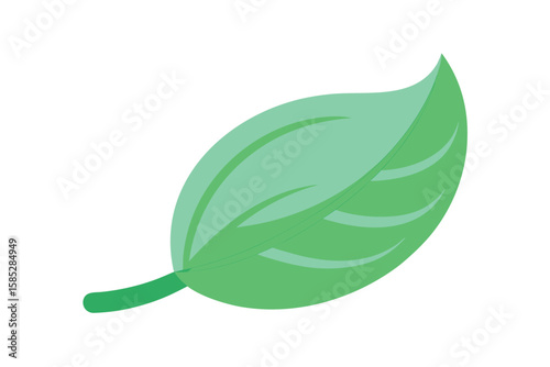 Cartoon Inspired Sat Leaf With Curved Lines And Shapes