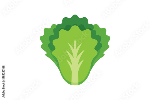 Curly Endive Lettuce Vector In Isolated View On White