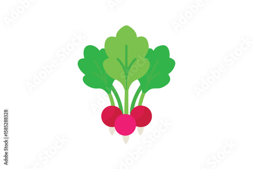 Flat Cartoon Leaf Bunch Of Radish Greens On White Background