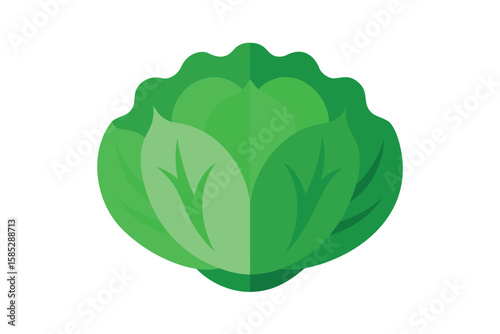 Flat Style Chinese Cabbage In Green Tones On White Background