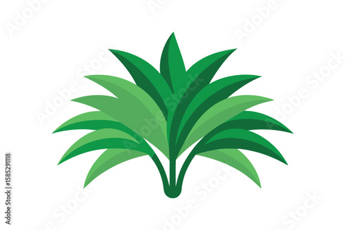 Layered Green Palm Leaves In Cartoon Flat Design On White