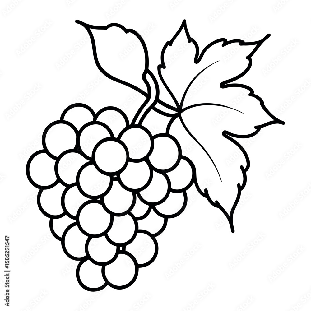 Fototapeta premium Minimal Grapes Line Art Vector with Leaf and Stem on White Background