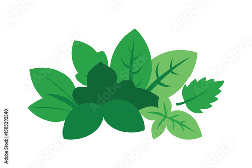 Mixed Leafy Herbs With Basil And Greens Vector On White