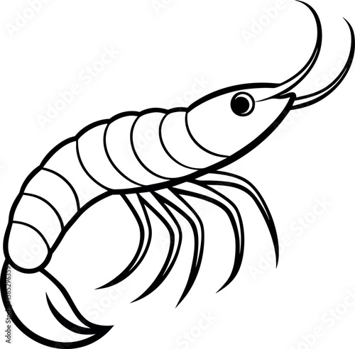 Shrimp fish outline on transparent background.