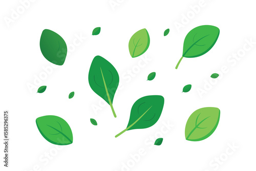 Spinach Leaves Scattered Organically On White Background