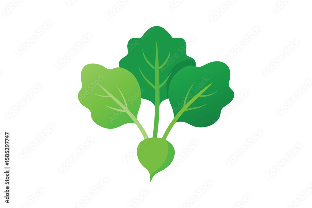 Naklejka premium Turnip Leaves Isolated Without Stems In Flat Vector