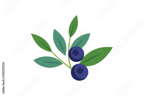 Wild Blueberries And Sage Leaves In Boho Watercolor