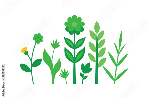 Wild Green Herbs Collection Vector Flat Set On White