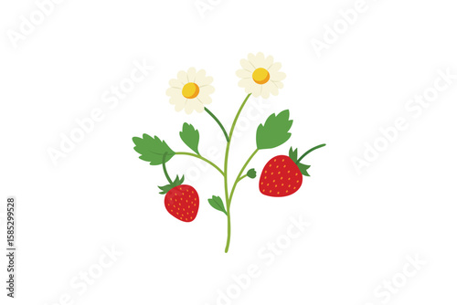 Wild Strawberry And Chamomile Herbs In Watercolor Design