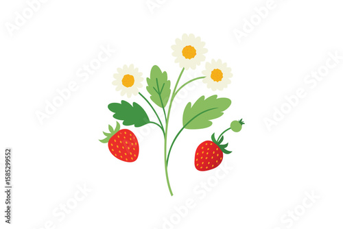 Wild Strawberry And Chamomile Herbs In Watercolor Design