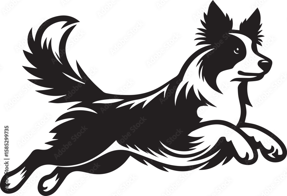 Fototapeta premium Border Collie Dog Vector – Silhouette 