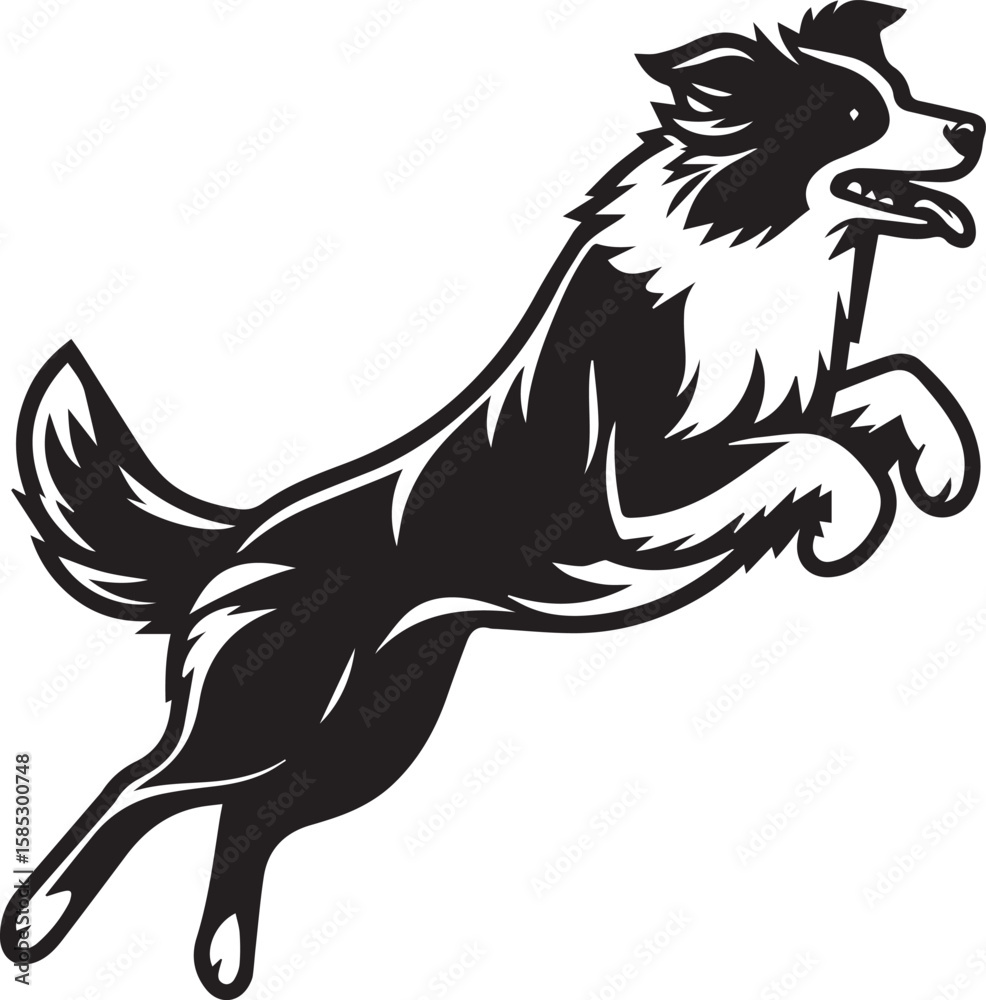 Obraz premium Border Collie Dog Vector – Silhouette 