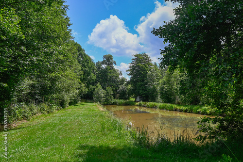 Fotografie Photo of a rectangular fishpond surrounded by green forests, against a blue summer sky with white clouds