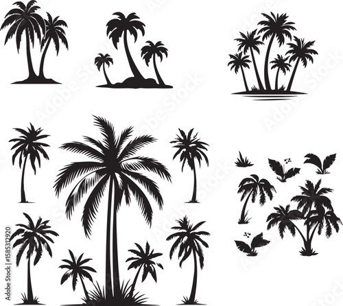 set of palm trees