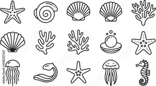 Starfish seashells coral pearl jellyfish seahorse marine life vector