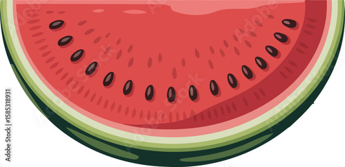 Fresh Watermelon Slice with Seeds Vector Illustration, Transparent Background.