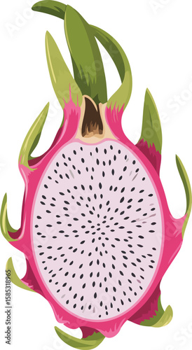 Fresh Dragon Fruit (Pitaya) with Pink Skin and White Flesh Vector Illustration, Transparent Background.