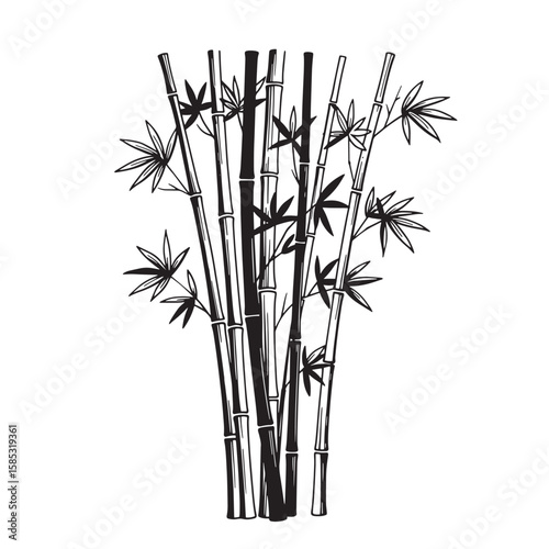 Elegant black and white illustration of a bamboo forest featuring several tall bamboo stalks and graceful leaves
