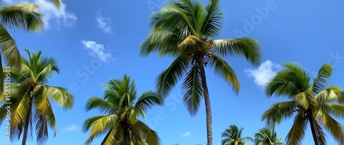 Wallpaper Mural Palm trees against blue sky Torontodigital.ca