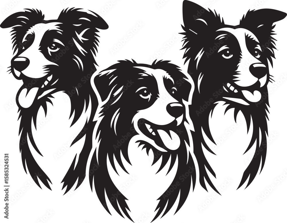 Obraz premium Border Collie Dog Vector – Silhouette 