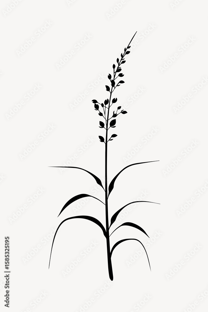 Fototapeta premium Minimalist botanical silhouette art.