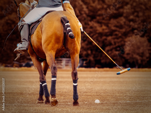 Male Polo Player During A Match
