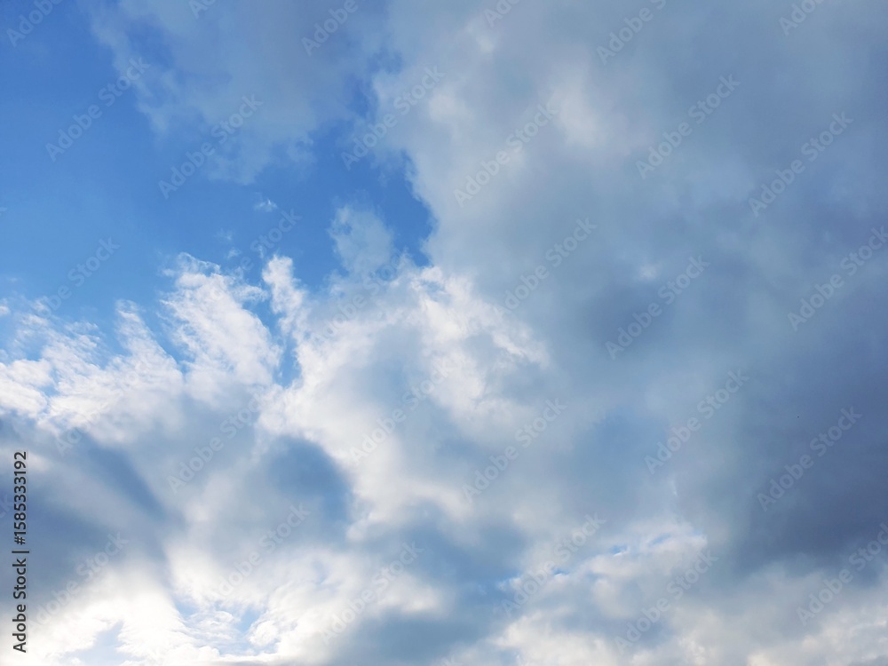 Fototapeta premium 스톡사진374