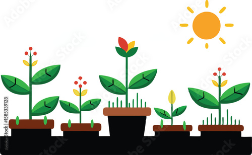 This collection of images depicts illustrations showing the stages of plant growth, from sprouting seeds to mature plant