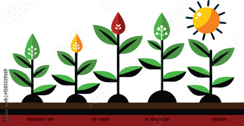 This collection of images depicts illustrations showing the stages of plant growth, from sprouting seeds to mature plant