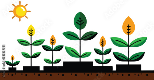 This collection of images depicts illustrations showing the stages of plant growth, from sprouting seeds to mature plant