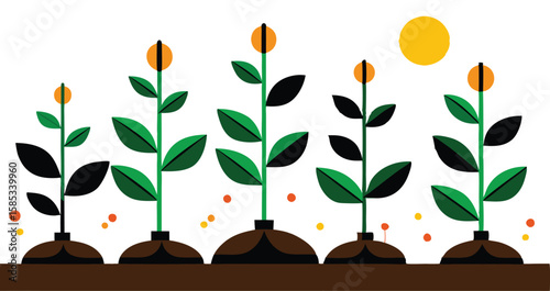 This collection of images depicts illustrations showing the stages of plant growth, from sprouting seeds to mature plant