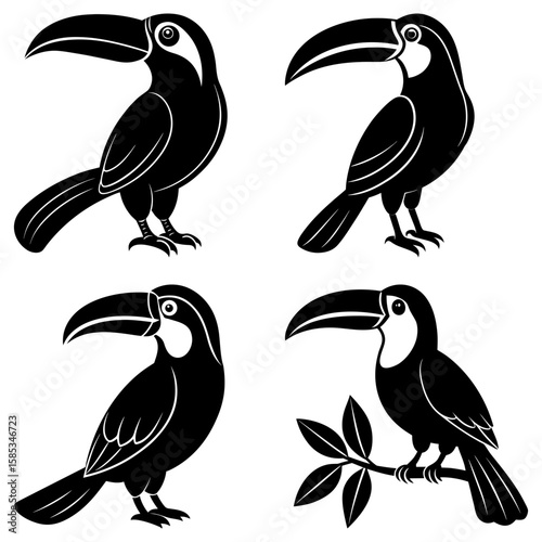 Four toucan bird illustrations in black and white showcasing different poses and perspectives of the bird