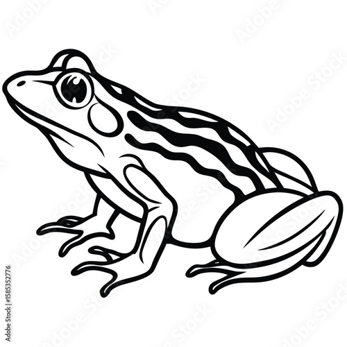 A stylized black and white illustration of a frog with bold outlines and stripes presented in a clean silhouette style