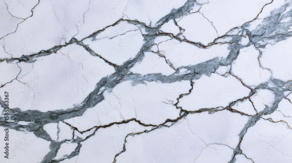 Fototapeta premium White Marble with Dramatic Dark Veins for Luxury Designs